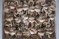 Frozen crab, Close up fresh crab Royalty Free Stock Photo