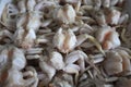 Frozen crab, Close up fresh crab Royalty Free Stock Photo