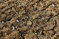 Frozen cracked mud with small patches of snow Royalty Free Stock Photo