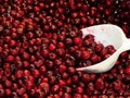 Frozen Cranberries on the foodshop Royalty Free Stock Photo