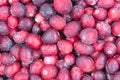 Frozen cranberry or mooseberry, bog-berry close up. Frozen product for cooking.