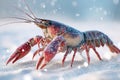 Frozen crayfish on sandy surface Royalty Free Stock Photo