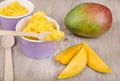 Frozen creamy ice yoghurt with fresh mango