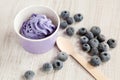 Frozen creamy ice yoghurt with whole blueberries