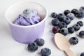 Frozen creamy ice yoghurt with whole blueberries