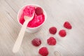 Frozen creamy ice yoghurt with whole raspberries