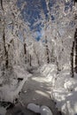 Frozen Creek Royalty Free Stock Photo