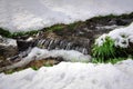 Frozen creek. Beautiful natural spring background I Royalty Free Stock Photo