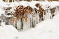 Frozen creek. Beautiful winter seasonal background in nature. Royalty Free Stock Photo