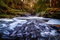 Frozen creek of Clare Glens in Co. Tipperary at winter, Ireland Royalty Free Stock Photo