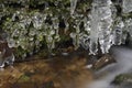 Frozen creek and icicles