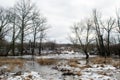 Frozen creek melting among dark trees near the winter forest Royalty Free Stock Photo