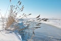 Almost frozen creek running through snowy coastal meadow at PÃÂ¤rnu beach, Estonia and falling into the fully frozen Baltic sea