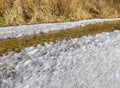 Frozen creek in Iowa USA