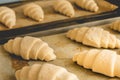 Frozen croissants on cooking paper