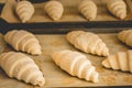 Frozen croissants on cooking paper Royalty Free Stock Photo