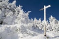 Frozen Cross