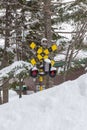 Frozen cross and electrical lines