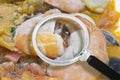 Frozen crustaceans HACCP Hazard Analyses and Critical Control Points - Food Safety and Quality Control in food industry -