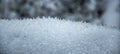 Frozen crystals on a tree trunk