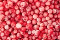 Frozen currant