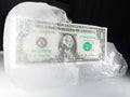 Frozen or Defrosting US Currency