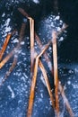 frozen dirty cane in ice with snow and sand. Nature background Royalty Free Stock Photo