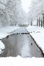 Frozen ditch in a park Royalty Free Stock Photo