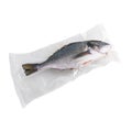 Frozen dorado fish. In plastic vacuum packaging. White background. Isolated