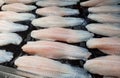 Frozen Dory Fish Fillets