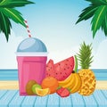 Frozen drink with fruits Royalty Free Stock Photo