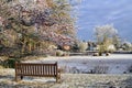 A frozen duck pond in an English village with a bench in the foreground. On a cold frosty winters day. Hanley Swan, Worcestershire Royalty Free Stock Photo