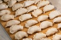 frozen dumplings handmade lying in rows on wooden board