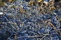 The frozen earth is covered with leaves