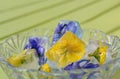 Frozen edible flowers in ice cubes in a bowl.