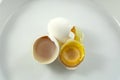 Frozen eggs in shells Royalty Free Stock Photo