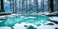 Frozen Fairy Pond. In the heart of a snow-covered forest, a pond lies frozen. Royalty Free Stock Photo