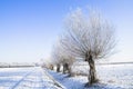 Frozen farmland Royalty Free Stock Photo