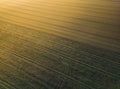 Frozen farmland in the morning during sunrise and the sun\'s rays falling on it Royalty Free Stock Photo