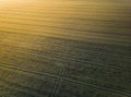 Frozen farmland in the morning during sunrise and the sun\'s rays falling on it Royalty Free Stock Photo