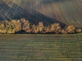 Frozen farmland in the morning during sunrise and the sun\'s rays falling on it Royalty Free Stock Photo