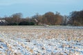 Frozen farmland in rural dutch landscape. Royalty Free Stock Photo