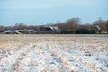 Frozen farmland in rural dutch landscape. Royalty Free Stock Photo