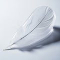 Frozen Feather with Ice Crystals on Plain White Backdrop and Clean Lighting - Macro Shot of a Plume and Glittering Ice Pattern Royalty Free Stock Photo