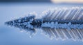 Frozen feather on icy surface closeup Royalty Free Stock Photo