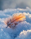 Frozen Feather Resting on Snow with Delicate Ice Crystals Captured in Soft-Focus Macro Style Royalty Free Stock Photo