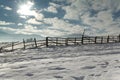 Frozen fence