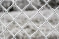 Frozen fence close-up covered by snow and ice artifacts. Winter photography Royalty Free Stock Photo