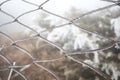 Frozen fence made of metal mesh covered with frost crystals, an early sunny cold morning, on a blurred background Royalty Free Stock Photo