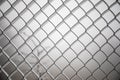 Frozen fence made of metal mesh covered with frost crystals, an early sunny cold morning, on a blurred background Royalty Free Stock Photo